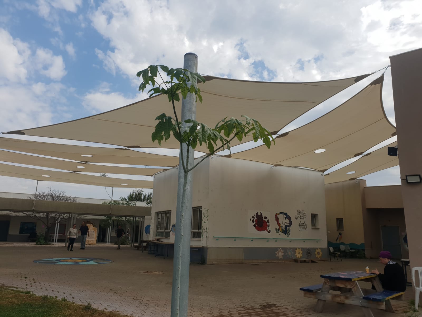 רשתות צל